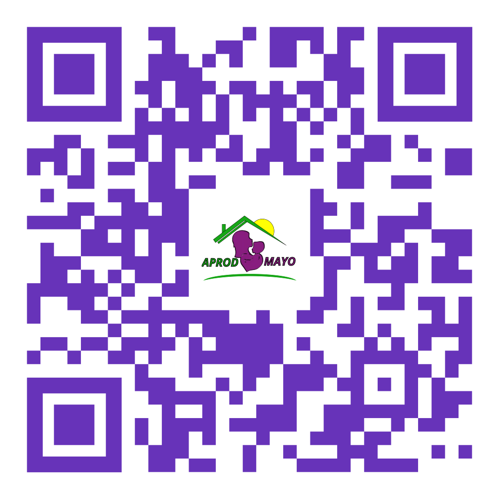 Instagram QR